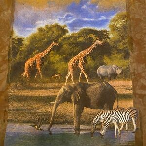 Discovery Brown Graphic Short Sleeve Tee